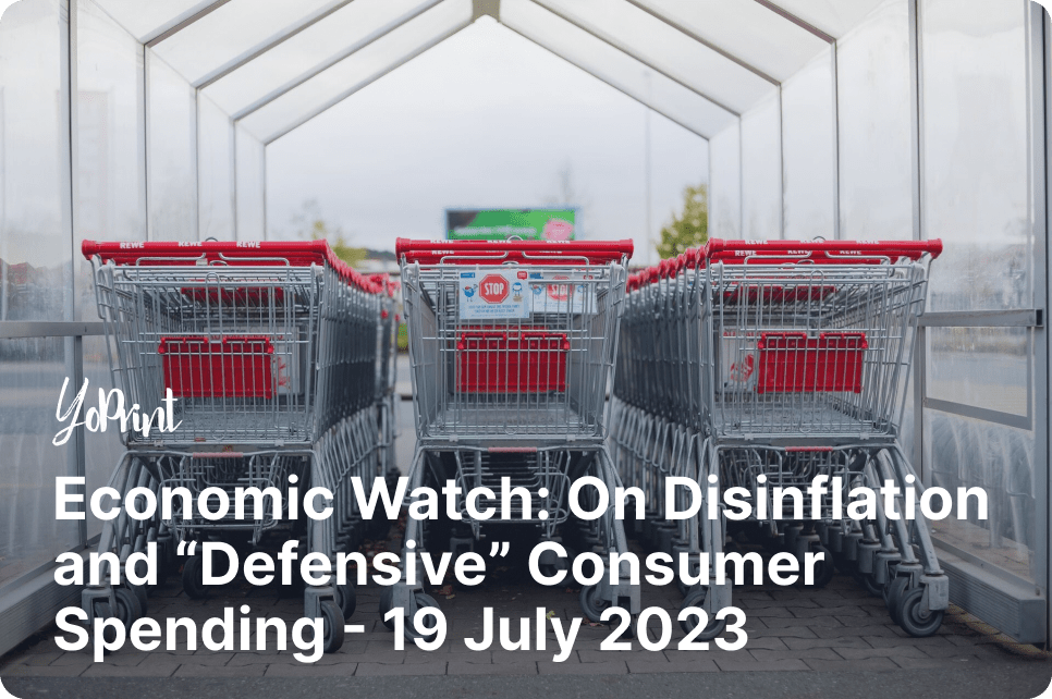 Economic Watch: On Disinflation and “Defensive” Consumer Spending - 20 July 2023