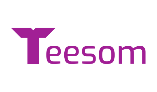 Teesom Logo Rectangle